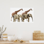 Geïsoleerde giraffen en olifanten die lopen poster (Keuken)
