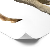 Geïsoleerde giraffen en olifanten die lopen poster (Hoek)