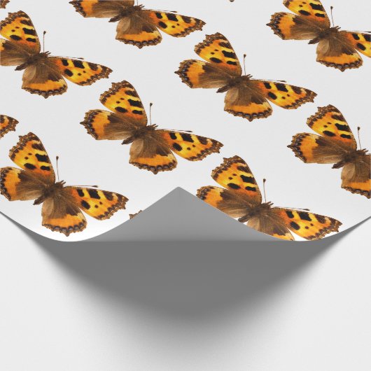 Geïsoleerde kleine tortoiseshel vlinder cadeaupapier (Hoek)