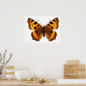 Geïsoleerde kleine tortoiseshel vlinder poster (Keuken)