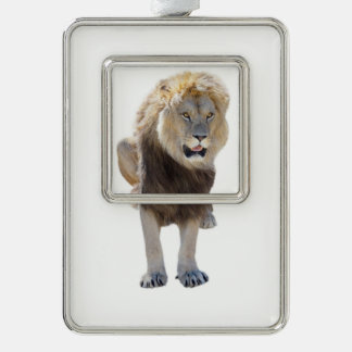 Geïsoleerde leeuw die je tong uitsteekt verzilverd omlijst ornament