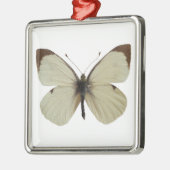 Geïsoleerde mannelijke grote witte vlinder metalen ornament (Links)