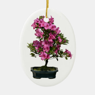 Geïsoleerde opgeblazen bonsai rhododendron keramisch ornament