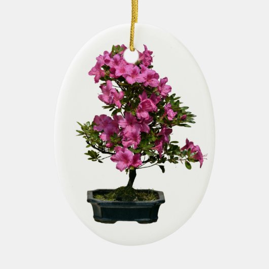 Geïsoleerde opgeblazen bonsai rhododendron keramisch ornament (Voorkant)