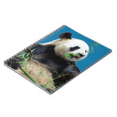 Geïsoleerde reuzenpanda die bamboe eet notitieboek (Linkerzijde)