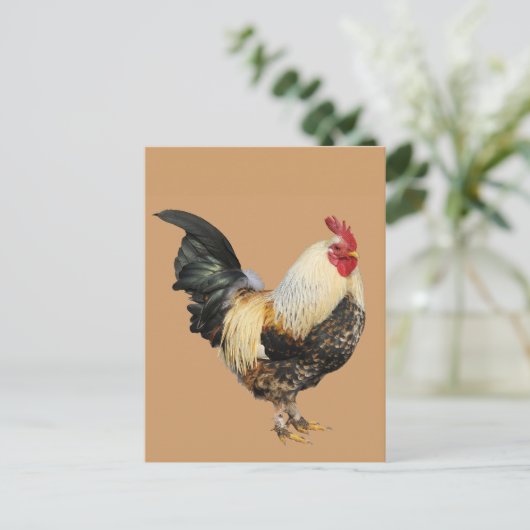 Geïsoleerde rooster briefkaart (Staand voorkant)