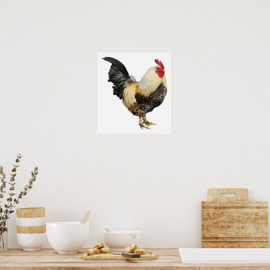 Geïsoleerde rooster poster (Keuken)