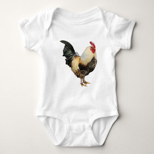 Geïsoleerde rooster romper (Voorkant)