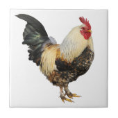 Geïsoleerde rooster tegeltje (Voorkant)