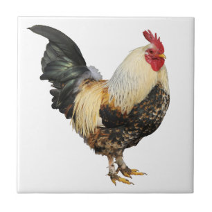 Geïsoleerde rooster tegeltje
