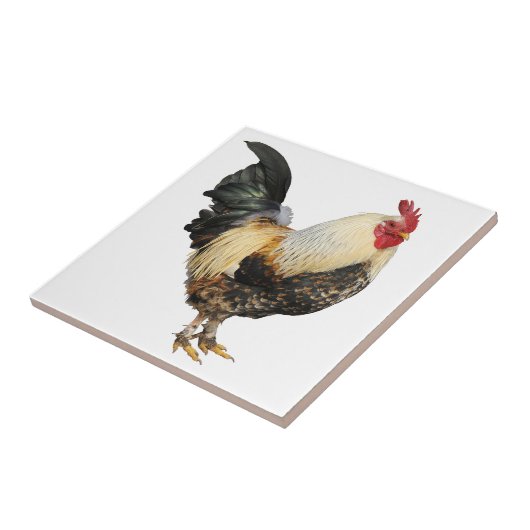 Geïsoleerde rooster tegeltje (Zijkant)