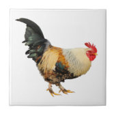 Geïsoleerde rooster tegeltje (Voorkant)