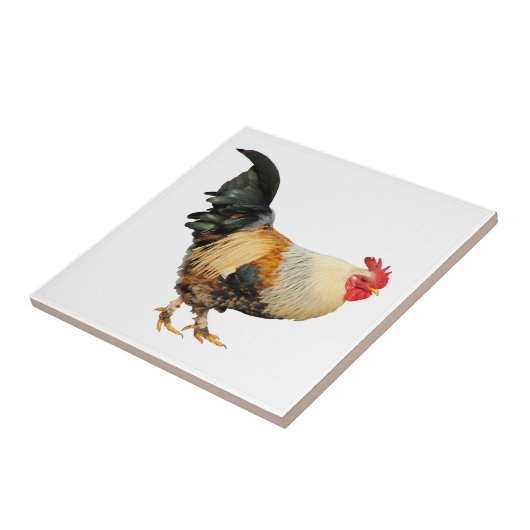 Geïsoleerde rooster tegeltje (Zijkant)