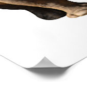 Geïsoleerde twee witte neushoorns poster (Hoek)