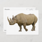 Geïsoleerde zwarte neushoorn briefkaart (Voorkant / Achterkant)