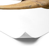 Geïsoleerde zwarte neushoorn poster (Hoek)