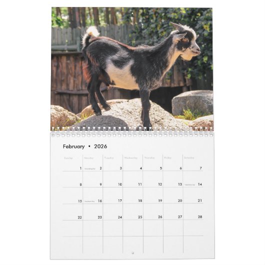 Geit 2025 kalender (Feb 2026)