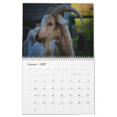 Geit 2026 kalender (Jan 2027)