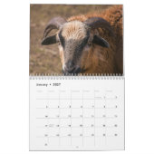 Geit 2027 kalender (Jan 2027)