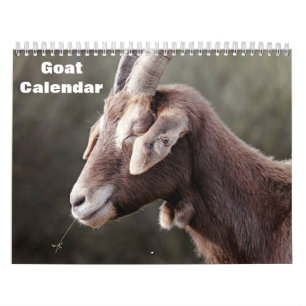 Geit 2027 kalender
