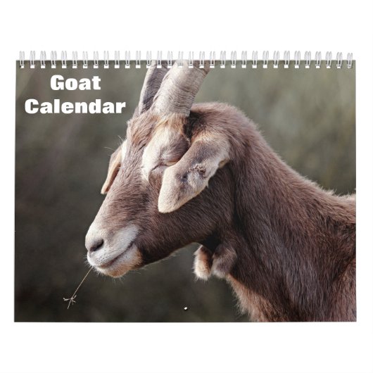 Geit 2027 kalender (Hoes)