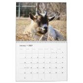 Geit 2027 kalender (Jan 2027)