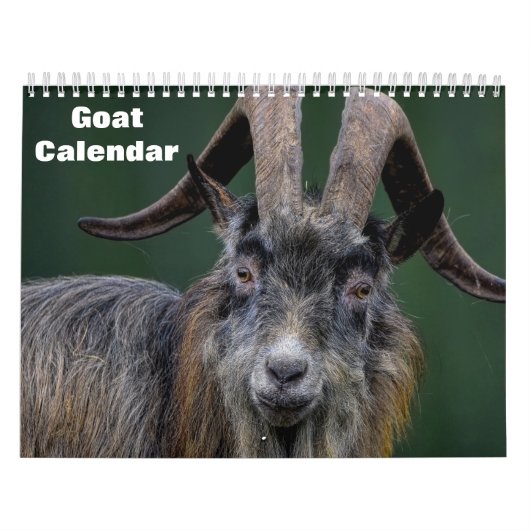 Geit 2027 kalender (Hoes)