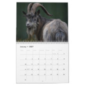 Geit 2027 kalender (Jan 2027)