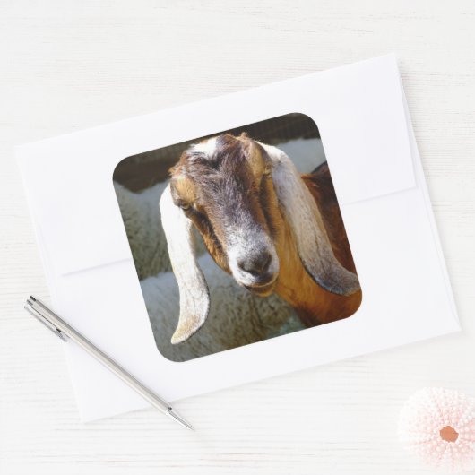 geit 2 sticker (Envelop)