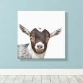Geit boerderij peekaboo foto canvas afdruk (Insitu (Houten vloer))