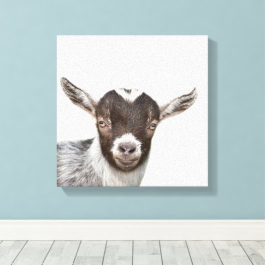Geit boerderij peekaboo foto canvas afdruk (Insitu (Houten vloer))
