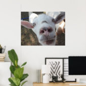 Geit die bij het Poster van Man is getrapt (Thuiskantoor)