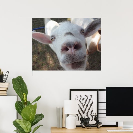 Geit die bij het Poster van Man is getrapt (Thuiskantoor)