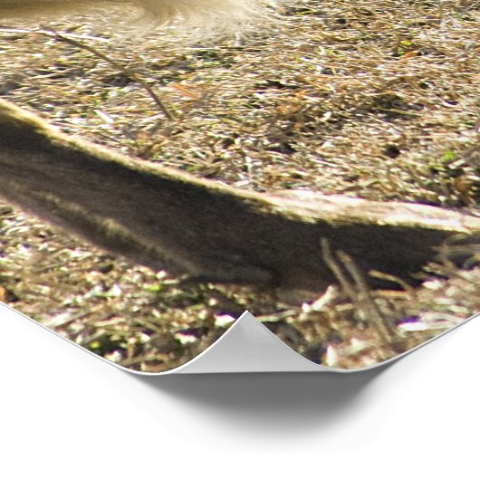 Geit en haar Baby Print (Hoek)