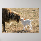 Geit en haar Baby Print (Voorkant)