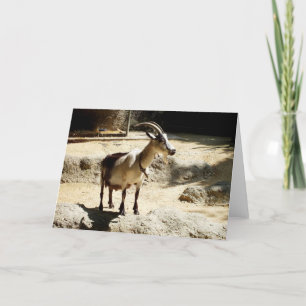 Geit Feestdagen Kaart