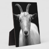 Geit Fotoplaat (Zijkant)