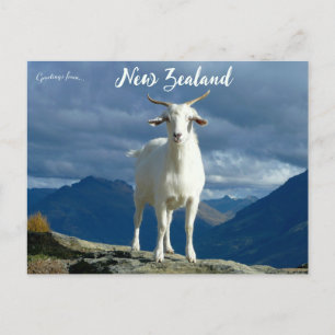 Geit in Queenstown Nieuw-Zeeland Briefkaart