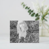 Geit in zwart-wit briefkaart (Staand voorkant)