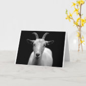 Geit Kaart (Gele Bloem)