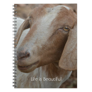 Geit Kauai (mijn fotografie) Notitieboek