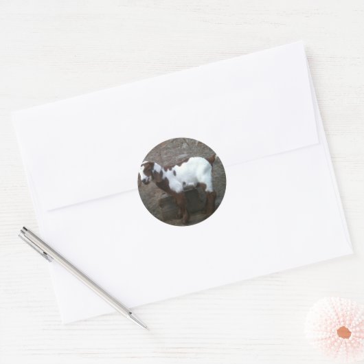 Geit kind sticker (Envelop)