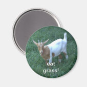 geit magneet (Voorkant / Achterkant)