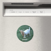 geit magneet (Insitu (Vaatwasser))