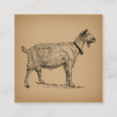 Geit met Bell Illustration Antiek Aged Brown Informatiekaartje (Voorkant)