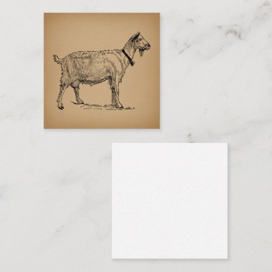 Geit met Bell Illustration Antiek Aged Brown Informatiekaartje (Voorkant / Achterkant)