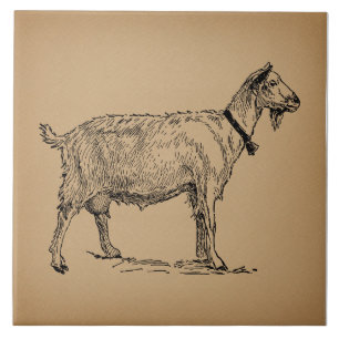 Geit met Bell Illustration Antiek Aged Brown Tegeltje