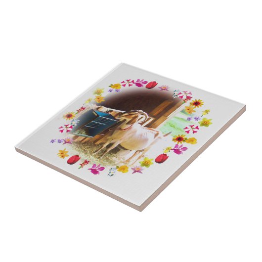 Geit met bloemen tegeltje (Zijkant)