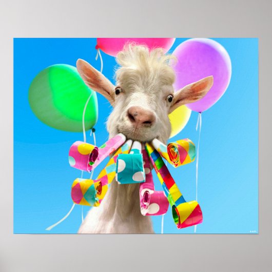Geit met feestartikels poster (Voorkant)