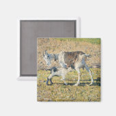 Geit met jong (van Segantini) Magneet (Voorkant / Achterkant)